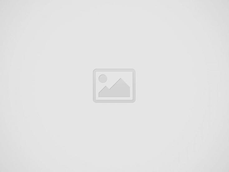 Sony SRS XB13 Charging Light Stays ON