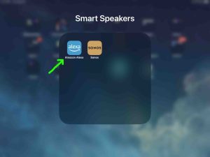 Screenshot of the Alexa app icon on iPadOS.