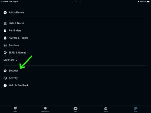Screenshot of the main menu -Settings- item.