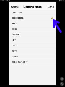 Picture of the -Delightful- item checked on the -Lighting Mode- page.