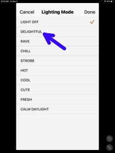 Screenshot of the -Delightful- Item and -Light OFF- option checked on the -Lighting Mode- page.