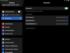 Screenshot of the iPadOS -Bluetooth Settings- screen, showing nothing discovered.