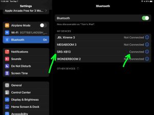 Screenshot of the iPadOS -Bluetooth Settings- screen, showing the Sony SRS XB13 as Connected.