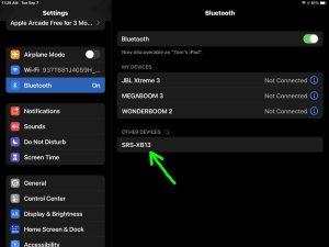 Screenshot of the iPadOS -Bluetooth Settings- page, showing the Sony SRS XB13 as Discovered.