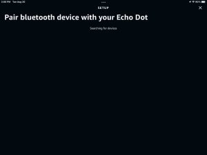 Screenshot of the -Pair Bluetooth Device- page.