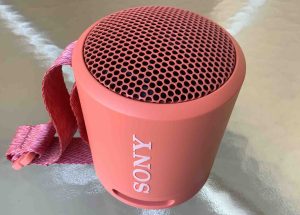 Picture of the back of the Sony SRS XB13.