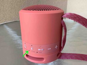 Picture of the Sony SRS XB13 Stereo Pair lamp.