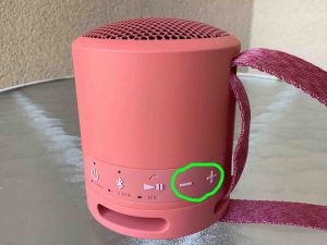 Picture of the Sony SRS XB13 Volume buttons.