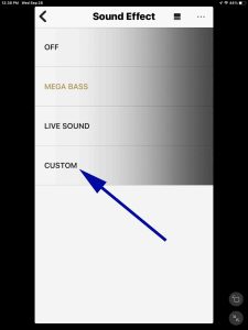 Screenshot of the -Sound Effect-Custom- option.