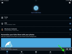 Screenshot of the -More- option on the Alexa app Home page.