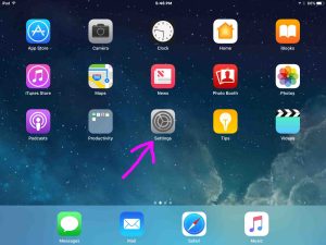 Screenshot of the iOS -Home- screen, showing the -Settings- app icon.